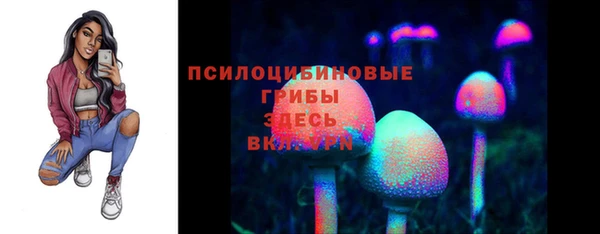дурь Алзамай