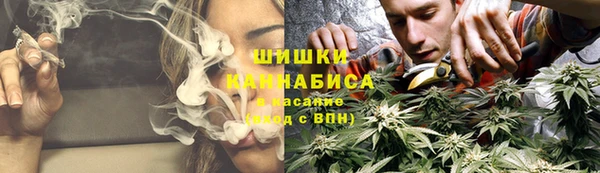 дурь Алзамай