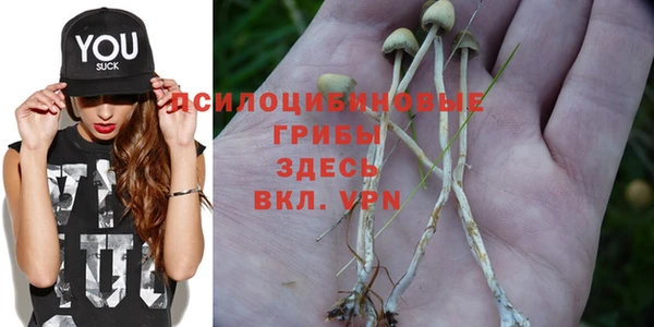 дурь Алзамай