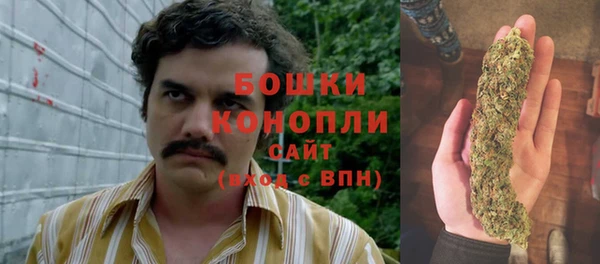 дурь Алзамай